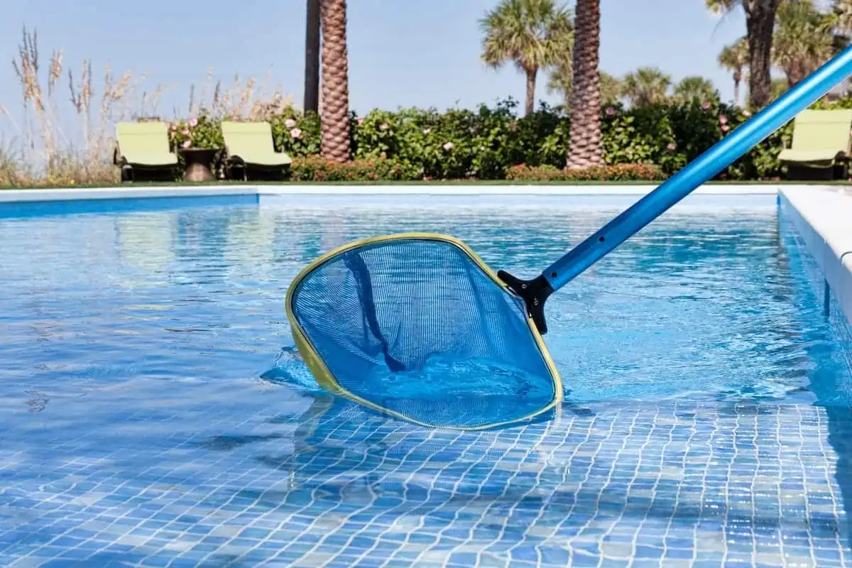 A blue pool skimmer net from Patriot Pool and Spa is partially submerged in a swimming pool, with palm trees, greenery, and two lounge chairs visible in the background under a clear sky.