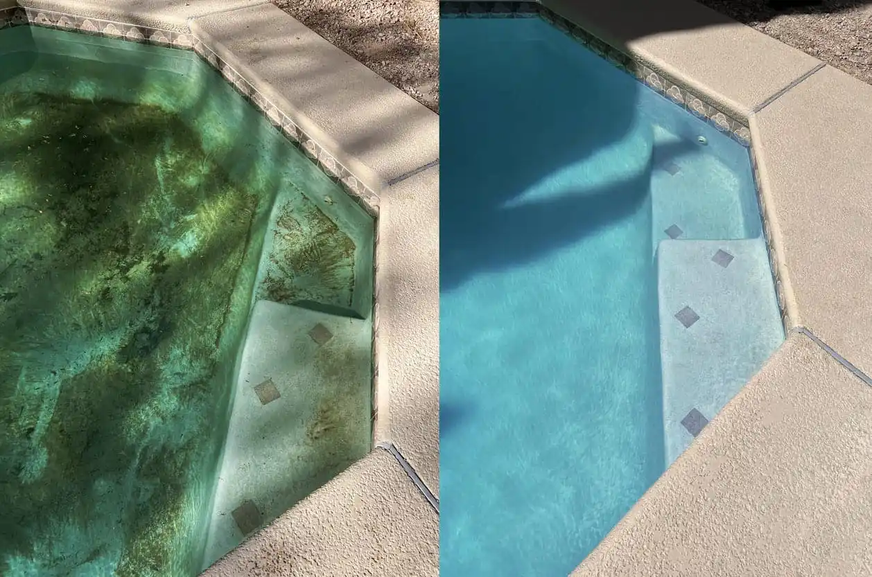 Side-by-side comparison of a pool step area shows the difference Patriot Pool and Spa can make: the left has dirty water with algae and debris, while the right displays clear, clean water and spotless steps.